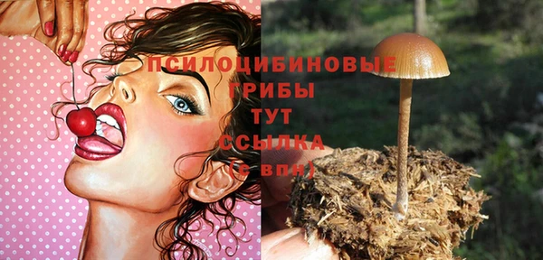винт Бородино