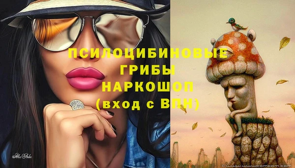 герыч Бугульма