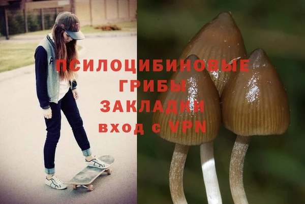 ГАЛЛЮЦИНОГЕННЫЕ ГРИБЫ Бронницы