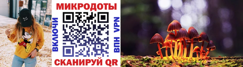 Псилоцибиновые грибы мухоморы  Купить закладки  Беломорск 