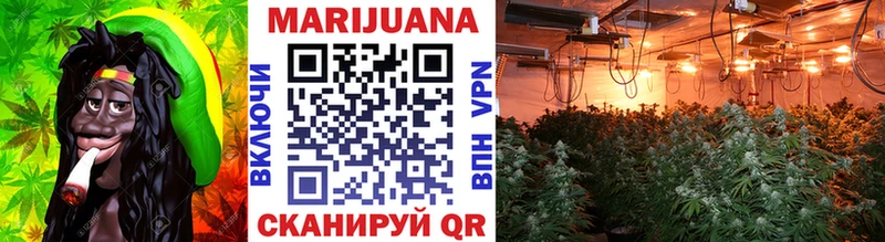 Бошки Шишки OG Kush  Купить  Беломорск 